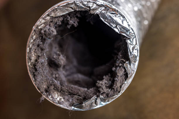 Best Affordable HVAC Duct Cleaning  in Allouez, WI