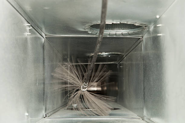 Best Air Duct Mold Removal  in Allouez, WI