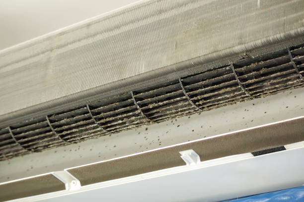 Best Air Duct Cleaning Near Me  in Allouez, WI